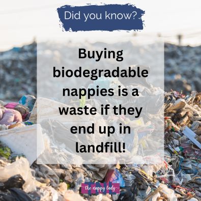 All Nappies Struggle To Biodegrade In Landfill